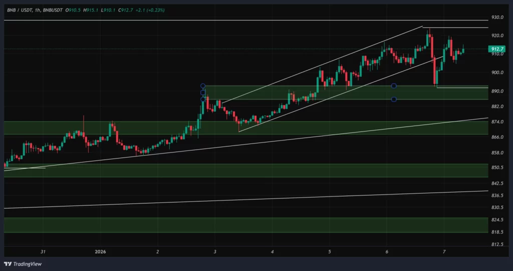 bnb-1h-chart-17-dey