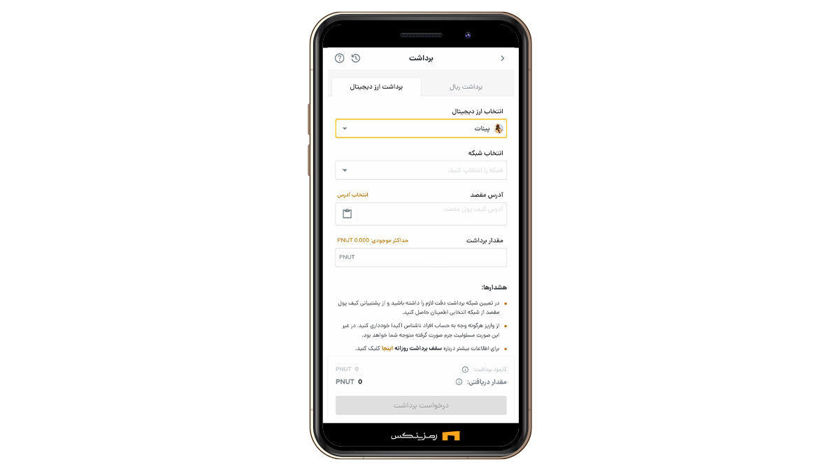 انتخاب ارز پینات در رمزینکس